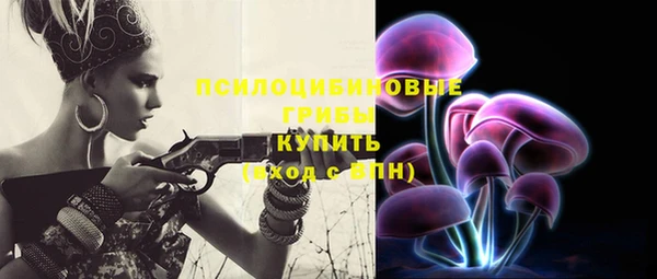 mdpv Козельск