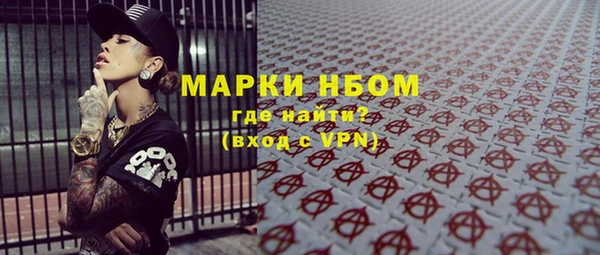 прущие грибы Кодинск
