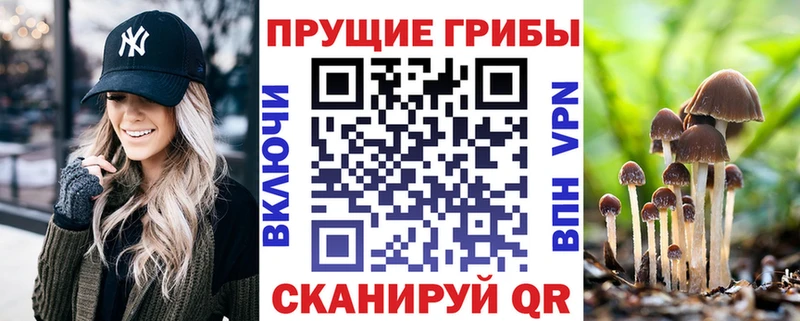 закладки  Ливны  Псилоцибиновые грибы мухоморы 